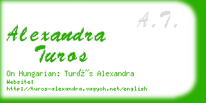 alexandra turos business card